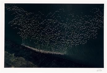 ERNST HAAS (1921-1986) Portfolio entitled The Creation.